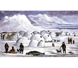 Igloo: Arctic Native Indian Houses for kids *** Igloo Village, Baffin Island, Ancient Houses, Snow House, Cheap Houses, Inuit Art, Snow Village, Native American Tribes, Native American Culture