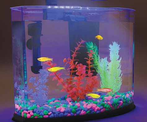 Glow In The Dark Aquarium Dark Fish Tank, Dark Aquarium, Glow In The Dark Fish, Bacopa Plant, Fish Tank Gravel, Glow Rock, Desktop Aquarium, Glow Fish, White Gravel