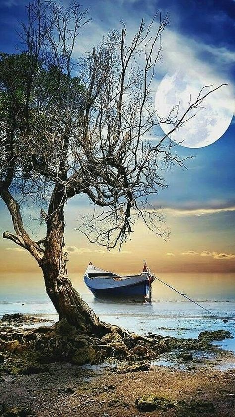 Boat Art, Boat Painting, Beautiful Moon, Beautiful Places In The World, Beautiful Photography, Amazing Nature, Nature Pictures, Nature Photos, Full Moon