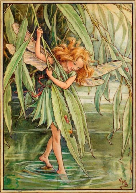 Cicely Mary Barker: An Enchanting World of Flower Fairies and Magic Cicely Mary Barker, Walking, Water