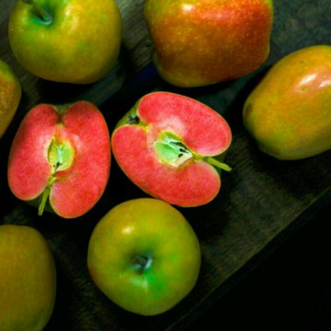 Mountain rose apples California Wildflowers, Veg Patch, Strange Fruit, Mountain Rose, Unique Vegetables, Apple Varieties, Assalamualaikum Image, Apple Roses, Beautiful Fruits