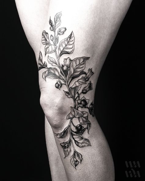 Deadly Nightshade Tattoo, Belladonna Tattoo, Nightshade Tattoo, Harley Tattoos, Deadly Nightshade, Floral Tattoo Sleeve, Tattoo Now, Tattoo Graphic, Leg Sleeve Tattoo