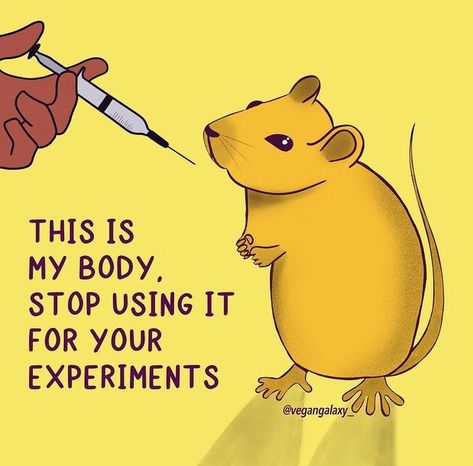 If you assign your students summer projects, check out TeachKind's debate kit about experiments on animals. It includes loads of articles and other resources for students to research as they develop an oral or written argument against the cruel and unnecessary practice of testing on animals. [Art by @ vegangalaxy_ on IG] Animal Testing Art, Animal Cruelty Art, Save Animals Poster, Stop Animal Testing, Culture Jamming, Animal Experiments, Funny Animal Images, Animal Activism, Clydesdale Horses