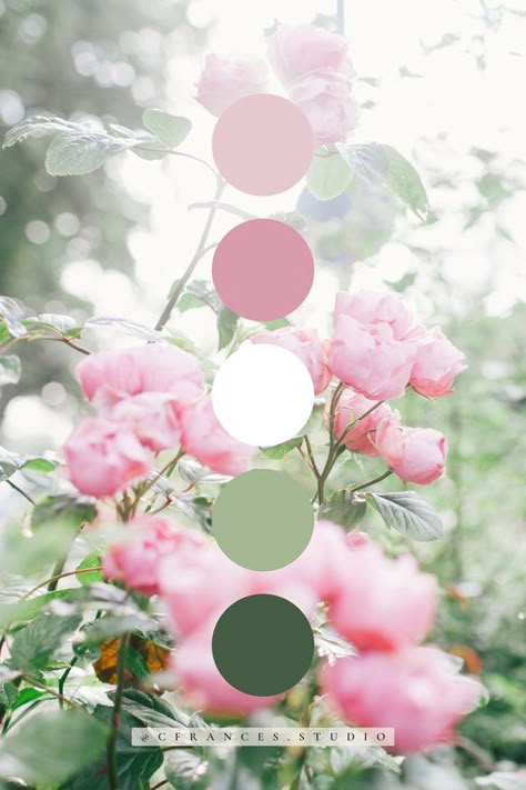 Pastel Color Scheme Colour Palettes, Pink Green White Colour Palette, Color Palette With Light Pink, Pink And Sage Color Palette, Pink And Green Wedding Palette, Wedding Pink Palette, Purple Pink Green Color Palette, Rose Garden Color Palette, Pink Green Cream Color Palette