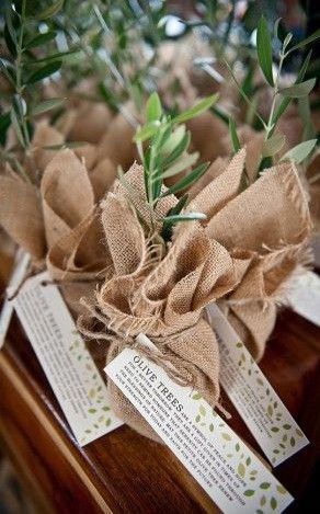 Olive Tree Wedding, Dinner Party Place Settings, Branches Wedding Decor, Tree Wedding Favors, Tree Favors, Olive Branch Wedding, Olive Wedding, Tree Seedlings, Wedding Favors Fall