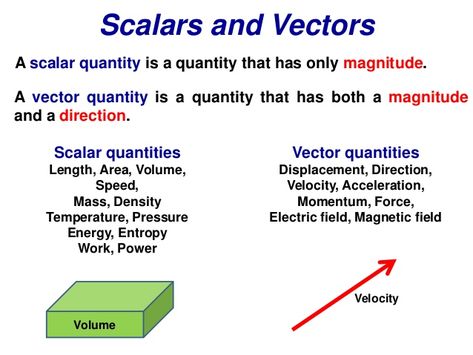 Scalars and Vectors  A scalar quantity is a quantity that has only magnitude.  A vector quantity is a quantity that has bo... Scalar And Vector, Physics Lessons, Physics Concepts, Biology Worksheet, How The Universe Works, Physics Classroom, Chemistry Education, Physics Notes, Kindergarten Letters