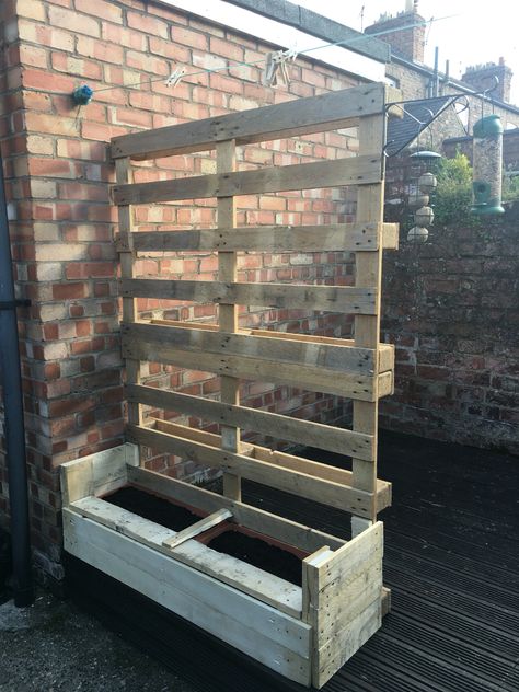 Pallet Trellis, Backyard Wall, Palette Garden, Outdoor Pallet Projects, Pallet Projects Garden, Diy Wood Pallet Projects, Garden Boxes Diy, Garden Pallet, Gardening Vegetables