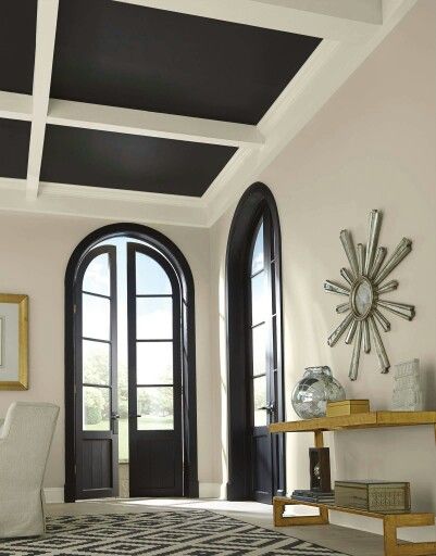 Sherwin-Williams Alabaster wall color & accent color on doors/window frames... Dark Brown Trim Interior, Alabaster Sherwin Williams, Timeless Paint Colors, Tricorn Black, Best Front Doors, Black Paint Color, Rock Lobster, Porch Plants, Front Door Paint Colors