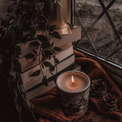 Dark Acadamia, Aesthetic Dark Academia, Library Aesthetic, Irish Roots, Academia Wallpaper, Candle Aesthetic, Cozy Aesthetic, Dark Academia Aesthetic, Fantasy Aesthetic