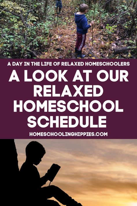 Homeschool Daily Schedule, Busy Mom Planner, Minimalist Homeschool, Relaxed Homeschooling, Family Read Alouds, Daily Schedules, Daily Schedule Template, Alternative Education, Homeschool Routine