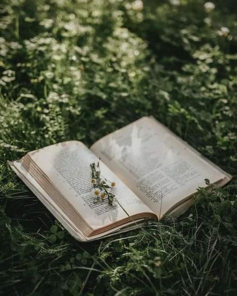 Nature Reading Aesthetic, Books In Nature Aesthetic, Reading In Nature Aesthetic, Nature Book Aesthetic, Green Royalcore, Green Book Aesthetic, Sienna Core, Zeynep Core, Botany Aesthetic