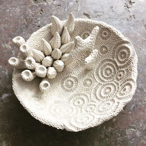 Artist Hand-Sculpts Detailed Ceramics That Mimic Aquatic Life Ceramic Texture, Cerámica Ideas, Clay Crafts Air Dry, Aquatic Life, Clay Texture, Pottery Crafts, Ceramics Pottery Art, Pottery Sculpture, Ceramics Projects