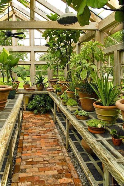 25 Beautiful Winter Gardens Integrated To Your Interior | Home Design And Interior Serre Diy, Pergola Diy, Diy Greenhouse Plans, Greenhouse Shed, Backyard Greenhouse, Greenhouse Plans, Storage Sheds, Wooden Sheds, Garden Types