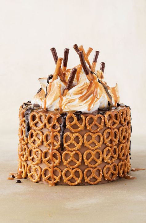 Pretzel Cake, Campfire Cake, Salted Caramel Pretzels, Chocolate Caramel Pretzels, Cake Liner, Caramel Pretzels, Caramel Topping, Chocolate Pretzels, Premium Chocolate