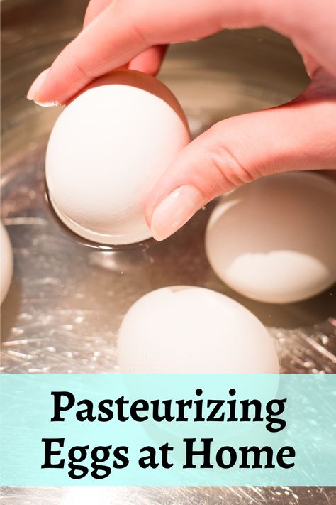 If you’ve been on the fence about trying recipes that call for raw eggs, I’ve got some good news for you. You can easily pasteurize eggs sous vide at home. Then nothing will come in the way of you trying all the delicious cocktails, pasta, sauces, and desserts that call for raw eggs. Salmonella worry-free enjoyment! #feature #article #eggs #health Tom And Jerry Batter, Ramen Egg, Sous Vide Machine, Sous Vide Egg, Starbucks Egg Bites, Whisky Sour, Cake Icing, Pisco, Hard Boiled Eggs