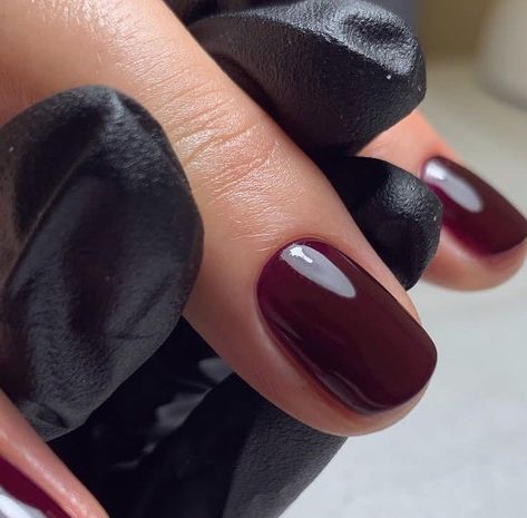 Pinotage Nails, Biosculpture Gel Nails, Semi Nails, Bio Nails, Dark Nail Polish, Toe Polish, London Nails, Daily Nail, Nail Envy