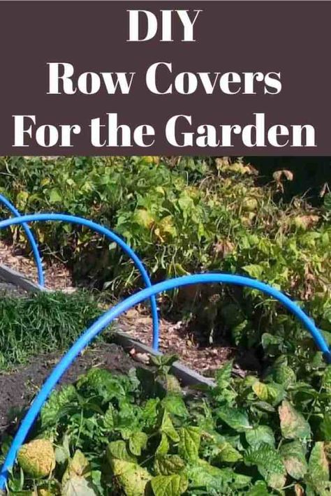 Cheap and Easy DIY Row Covers to Protect Your Garden - Gardening Channel Floating Row Covers Diy, Homestead Garden Layout, Garden Cover, Garden Mesh, River Rock Garden, Diy Greenhouse Plans, Tattoo Plant, Screen Plants, Bucket Gardening