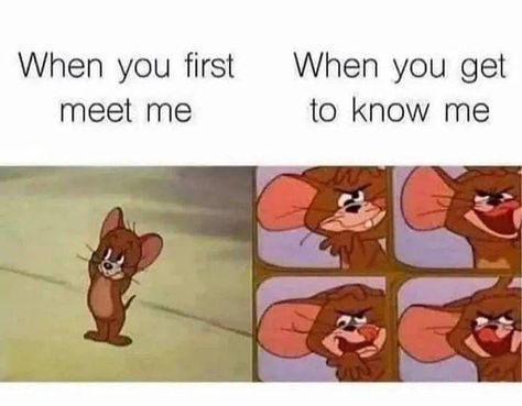 Nah that's me all the time, you don't have to get to know me to see that lol Mean Humor, Struggle Is Real, Relatable Post Funny, Cartoon Memes, Relationship Memes, Dating Memes, Funny Relatable Quotes, Get To Know Me, Really Funny Memes