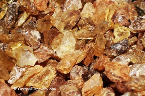 Commercial Oregon Sunstone Collection Sites - Oregon Discovery Rockhounding Oregon, Gem Hunting, Gem Hunt, Columbia Gorge, Oregon Sunstone, High Desert, Rare Gems, Rocks And Gems, Rock Hounding