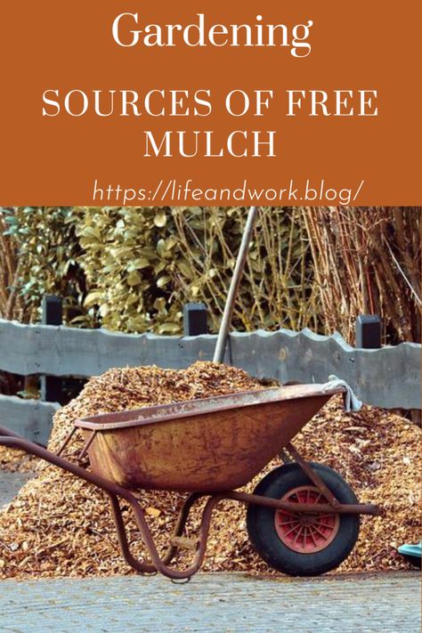 Garden And Yard - Sources of Free Mulch Leaf Mulch, Cypress Mulch, Mulch Landscaping, Cypress Oil, Gardening Gear, House And Garden, Garden Guide, Tree Trimming, Growing Fruit