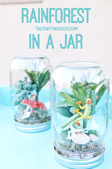 Rainforest in a jar - such a fun kids craft for summer! Craft For Summer, Rainforest Crafts, Jungle Crafts, Vbs Crafts, Diy Spring, Rain Forest, Camping Crafts, Fun Crafts For Kids, Mason Jar Crafts