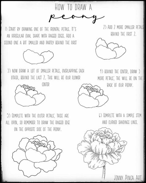 Jen | Floral & Nature Drawings on Instagram: “Learn how to draw a #peony with my new tutorial.⁣ ⁣ 🍃 Remember to use the hashtag #jenfloralturorial and tag me if you use this tutorial,…” Peony Drawing Tutorial, Draw Peony, Draw A Peony, Hur Man Ritar Blommor, Ako Kresliť, Peonies Wallpaper, Peony Flower Tattoos, Floral Drawings, Nature Drawings