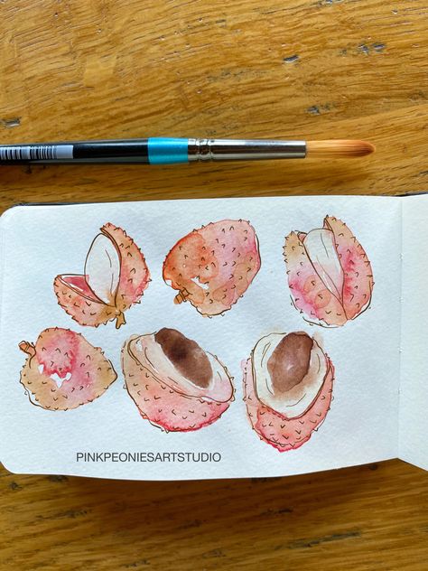 Lychee Drawing, Lychee Illustration, Passion Fruit Illustration, Peonies Art, Pink Peonies Art, Illustration Fruit, Watercolor Simple, Painting Journal, Fruit Watercolor