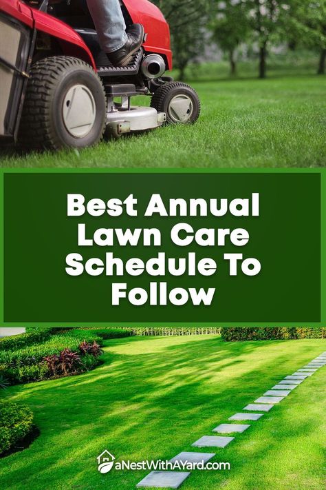 Follow the best annual lawn care schedule for a garden that thrives all year. Start your green journey here. Fall Lawn Care Schedule, Lawn Maintenance Schedule, Fall Lawn Care, Spring Lawn Care, Lawn Care Schedule, Fall Lawn, Plants In Jars, Seeding Lawn, Growing Grass