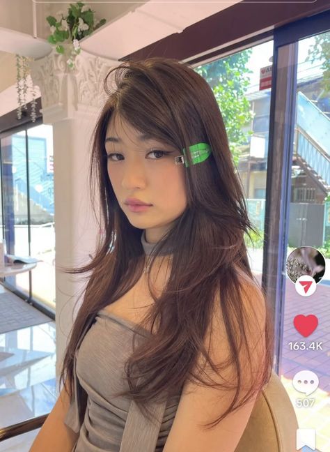 Korean Hush Haircut, Hush Haircut, Japanese Hair Color, Asian Brown Hair, Jellyfish Haircut, Japanese Haircut, Korean Hair Color, Japanese Hair, Short Brown Hair