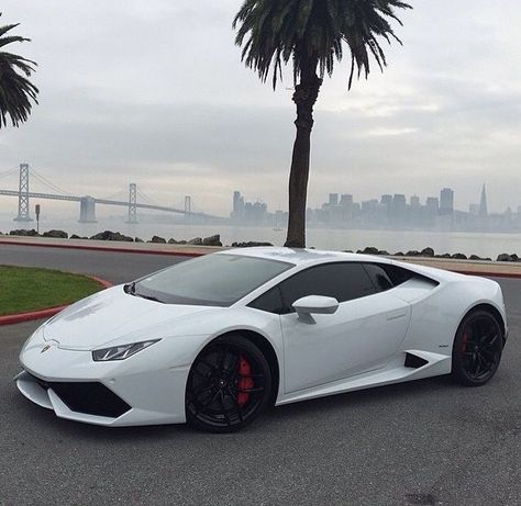 Lamborghini Huracan White, Tmax Yamaha, White Lamborghini, Audi Q8, Ford Mustang Car, Lamborghini Cars, Car Cleaning Hacks, Car Hacks, Mustang Cars