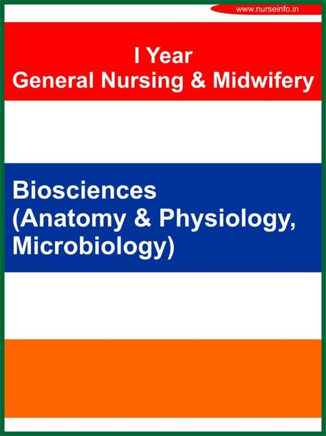 Gnm Nursing, Notes Book, Anatomy Physiology, Nursing Books, First Year Student, Lecture Notes, Science Notes, Lectures Notes, Nursing Notes