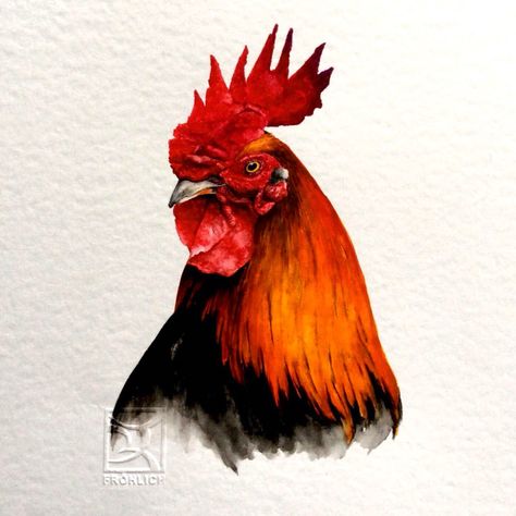 ROOSTER WATERCOLOR Lorena Fröhlich M Rooster Watercolor, Che Guevara Art, Chicken Pictures, Rooster Painting, Farm Paintings, Chicken Painting, Rooster Art, Artistic Pictures, Trash Polka