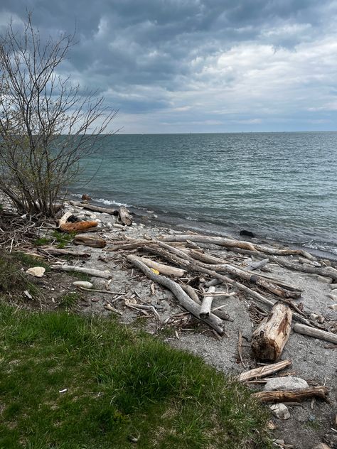 The Island Book, Island Aesthetic, Island Survival, Deserted Island, Spirit Bear, Lord Of The Flies, Island Life Style, Desert Island, Elements Of Design