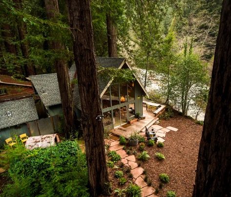 Airbnb Find: Sequoia A-Frame Cabin Mid Century Cabin, Glamping California, Sonoma Coast, A Frame Cabin, A Cabin, Small Cabin, Cabin In The Woods, Cabins And Cottages, Modern Cabin