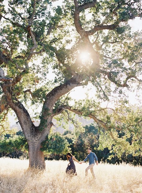 Malibu Creek State Park, California Engagement, Large Tree, Tree Photography, Big Tree, Wedding Engagement Photos, Prewedding Photography, Engagement Photo Inspiration, Photo Tree