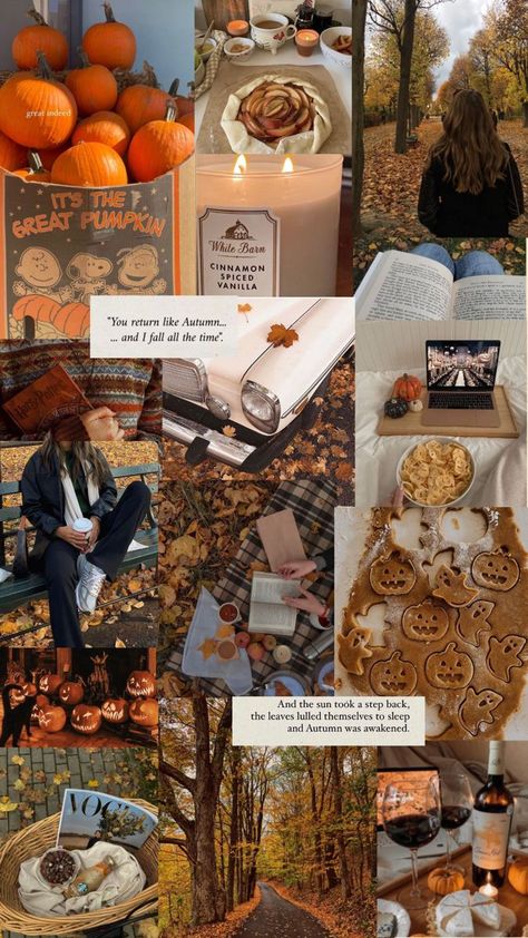 Autumn Phone Wallpaper, Fall Mood Board, Cute Fall Wallpaper, Autumn Magic, Fall Background, Fall Bucket List, Fall Inspo, Fall Pictures, Fall Aesthetic