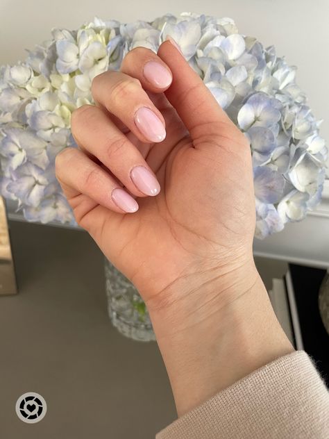 Natural Dip Powder Nails Oval, Opi Natural Dip Powder, Opi Dip Love Is In The Bare, Light Color Dip Powder Nails, Opi Dip Powder Put It In Neutral, Opi Love Is In The Bare Powder, Dip Nail Ideas Oval, Natural Color Dip Powder Nails, Dip Powder Neutral Nails