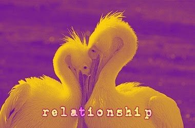 relationship quotes in marathi.. Birds In Love, Types Of Psychology, Heart In Nature, Bird Photo, Love Pictures, Love Wallpaper, Bird Feathers, Love Birds, Beautiful Birds