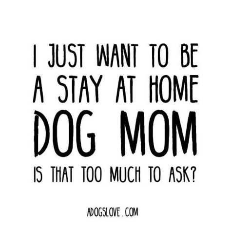 Stay At Home Dog Mom, Dog Mom Quotes, Home Dog, Cute Funny Dogs, Stay At Home Mom, Instagram Dogs, Mom Quotes, Stay At Home, Interesting Art