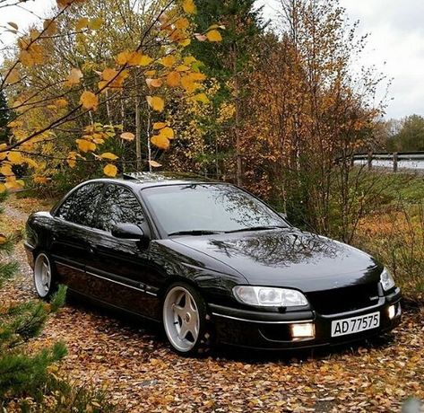 Opel Omega, Car Girl, New Classic, Whips, Jdm, Cars And Motorcycles, Cool Cars, Dream Cars, Audi