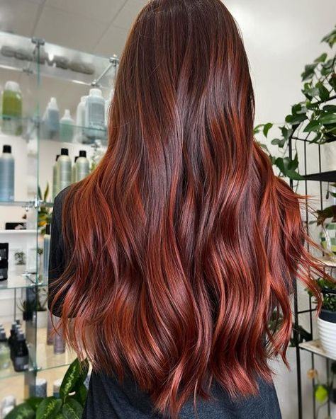 Chestnut Red Balayage, Light Red Auburn Hair, Light Brown Red Hair Balayage, Red Balyage Long Hair Brunette, Red Hair Red Highlights, Dark Brown To Ginger Balayage, Red Auburn Balayage, Auburn Hair Olive Skin, Copper Balayage Straight Hair