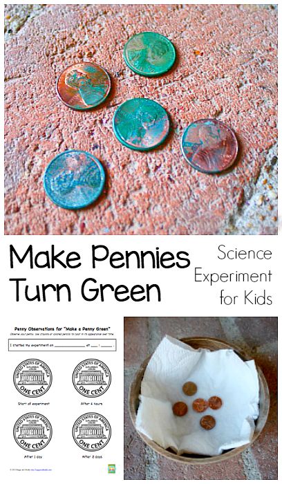 Science Experiments for Kids: How to make a penny green. Science Experience, Experiments Kids, Science Camp, Kid Science, Summer Science, Science Crafts, Kid Experiments, Science Activities For Kids, Fair Projects