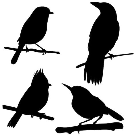 Birds Black Background, Silhouette Of Birds, Raven Photography, Bird Background, Bird Silhouette Art, Vogel Silhouette, Bird Template, Escape Artist, Shape Vector