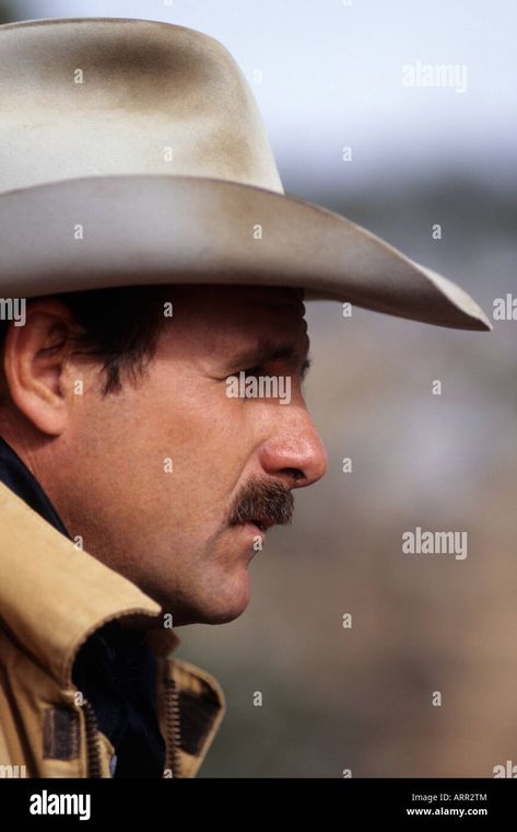 Download this stock image: A cowboy profile in classic western hat. - ARR2TM from Alamy's library of millions of high resolution stock photos, illustrations and vectors. Cowboy Side Profile, Face Side View, Side View Of Face, Thesis Ideas, Handsome Cowboys, Wyoming Cowboys, Western Hat, Western Hats, Image Processing