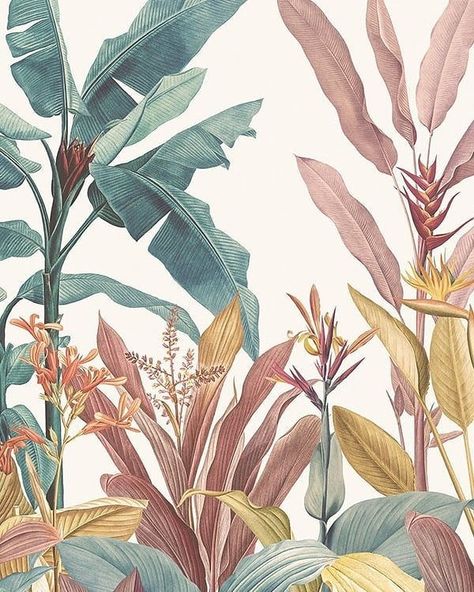 Tropical Minimalist, Look Tropical, Vintage Tropical, Illustration Botanique, Tropical Wallpaper, Botanical Illustrations, Iphone Wallpaper Vintage, Deco Floral, Halloween Backgrounds