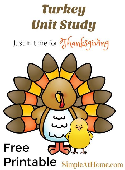 This easy turkey unit study is perfect for thanksgiving and comes with a great free printable on the life-cycle of a turkey. Unit Studies Homeschool, Homeschool Advice, Homeschool Lesson Plans, Homeschool Freebies, Holiday Lessons, Homeschool Kids, Homeschool Lesson, Homeschool Printables, Kids Board