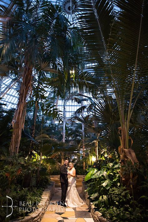 Como Zoo Conservatory Minneapolis Engagement Photos, Como Conservatory, Conservatory Wedding, Zoo Wedding, Sunken Garden, Stella York, Minnesota Wedding, Video Photography, Wonderful Time