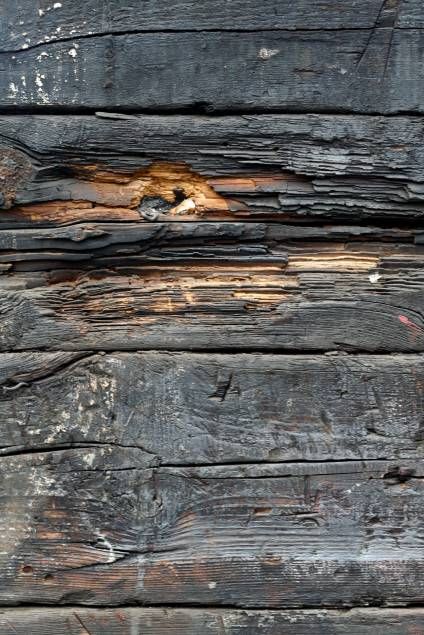 Witch Lair, Rotten Wood, Burnt Wood, Wood Branch, Texture Inspiration, Image Painting, Free Textures, Texture Images, Masks Art