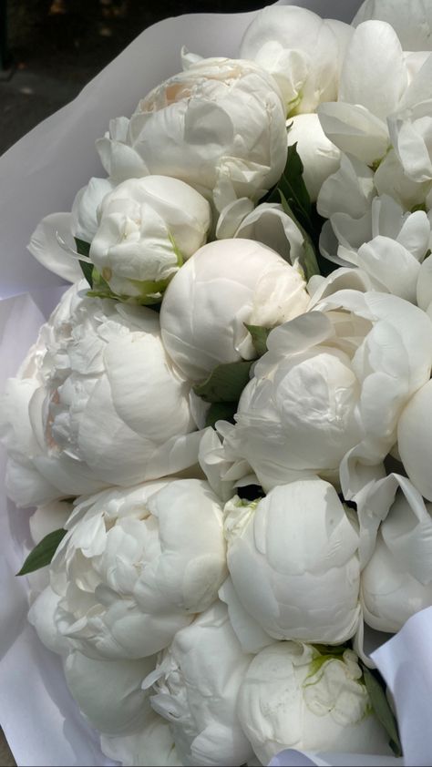 Boquette Flowers, Nothing But Flowers, Flower Therapy, Peonies Bouquet, Beautiful Bouquet Of Flowers, White Peonies, Luxury Flowers, Beautiful Bouquet, Ikebana