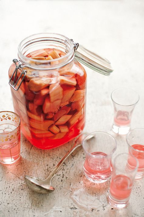 Rhubarb Liqueur Recipes, Rhubarb Vodka, Rhubarb Liqueur, Campari Cocktail, Homemade Liquor, Liquor Recipes, Liqueurs Recipes, Vodka Recipes, Sazerac